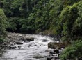 /album/fotogaleria/a17198-230384220442714-1191558879-n-jpg/