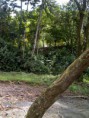 /album/fotogaleria/a46191-194576690690134-54225244-n-jpg/