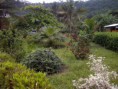 /album/fotogaleria/a459212-196368217177648-768436539-o-jpg/